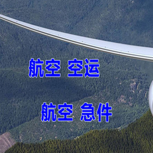 六盘水月照空运代理快递-选东方航空和上海航空